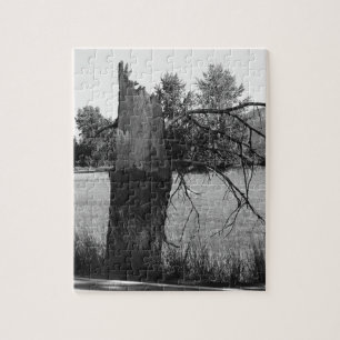 Puzzle Arbre brisé