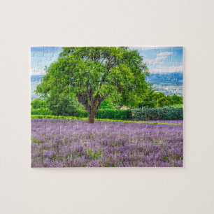 Puzzle Arbre dans un champ de lavande, France