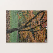 Puzzle Arbre d'automne doré (Horizontal)