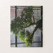 Puzzle Arbre de bonsaïs (Vertical)