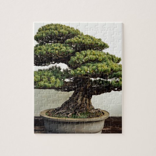 Puzzle Arbre de bonsaïs de White Pine de Japonais (Vertical)