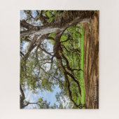 Puzzle Arbre de chêne vivant de Louisiane, (Vertical)