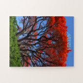 Puzzle arbre de flamboyant d'Aruba (Horizontal)