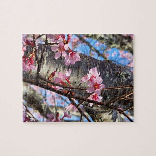 Puzzle arbre de printemps (Horizontal)