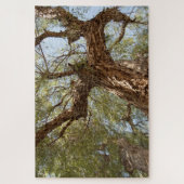 Puzzle Arbre d'épines de papier - Rechercher (Vertical)