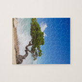 Puzzle Arbre Divi Divi, Eagle Beach, Aruba, Caraïbes (Horizontal)