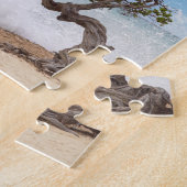 Puzzle Arbre Divi Divi, Eagle Beach, Aruba, Caraïbes (Côté)