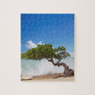 Puzzle Arbre Divi Divi, Eagle Beach, Aruba, Caraïbes
