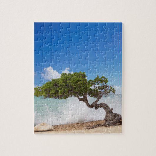 Puzzle Arbre Divi Divi, Eagle Beach, Aruba, Caraïbes (Vertical)