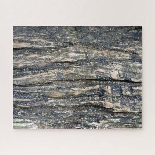 Puzzle arbre écorché (Horizontal)