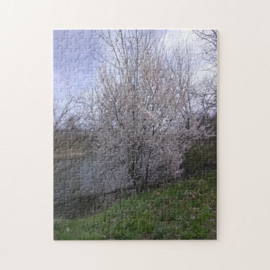Puzzle arbre en fleurs blanches seconde (Vertical)
