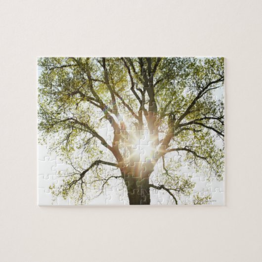 Puzzle Arbre ensoleillé (Horizontal)