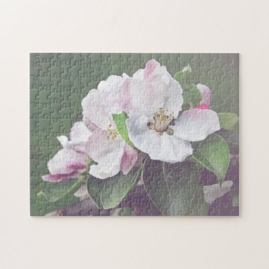 Puzzle Arbre fruitier en fleurs blanc rose (Horizontal)