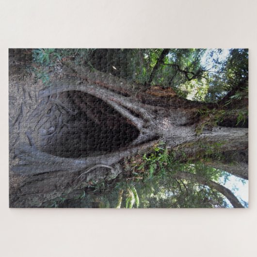 Puzzle Arbre géant et grotte de méditation /Forêt ancienn (Horizontal)