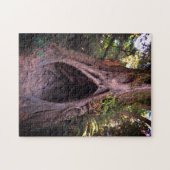 Puzzle Arbre géant, Grotte de méditation / Forêt au couch (Horizontal)