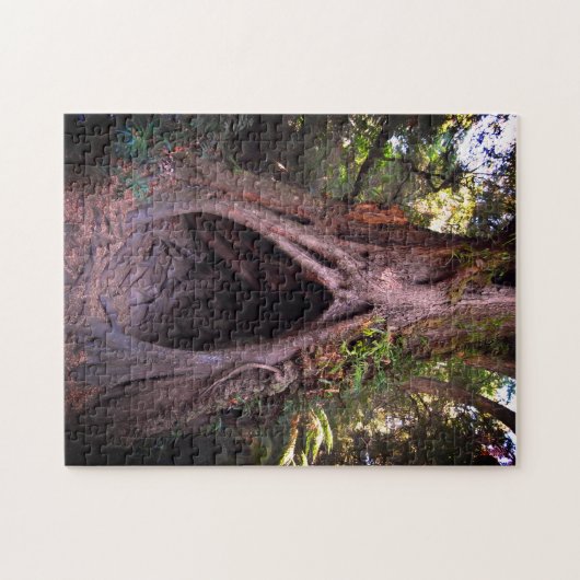 Puzzle Arbre géant, Grotte de méditation / Forêt au couch (Horizontal)