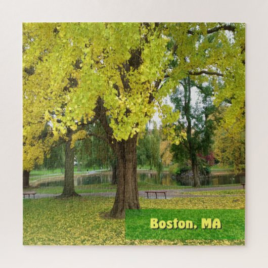 Puzzle Arbre Gingko Jaune - Jardin public de Boston (Vertical)
