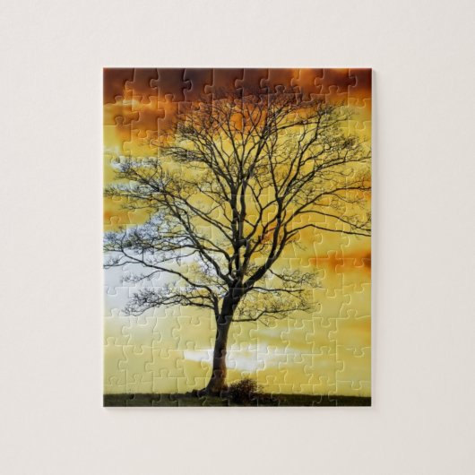 Puzzle Arbre magnifique, coucher de soleil paysage de la (Vertical)