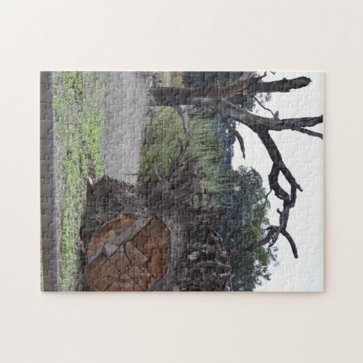 Puzzle Arbre mort (Horizontal)