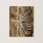 Puzzle Arbre mort de sang de dragon, île de Socotra, (Vertical)