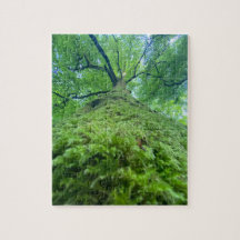 Puzzle arbre mousse