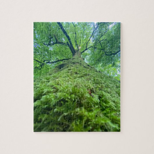 Puzzle arbre mousse (Vertical)