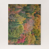 Puzzle Arbre Multicolore (Vertical)