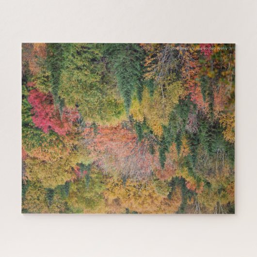 Puzzle Arbre Multicolore (Horizontal)