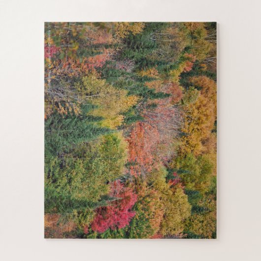 Puzzle Arbre Multicolore (Vertical)