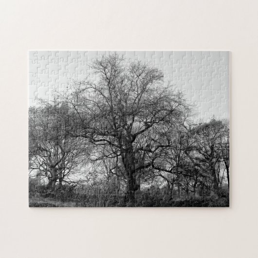 Puzzle Arbre noir et blanc d'hiver de paysage dans le (Horizontal)