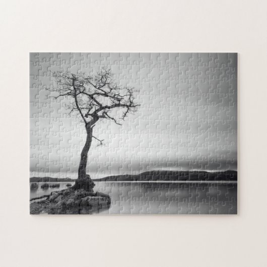 Puzzle Arbre nu isolé (Horizontal)