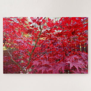 Puzzle Arbre rouge d'automne