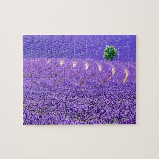 Puzzle Arbre solitaire à Lavender Field, France (Horizontal)