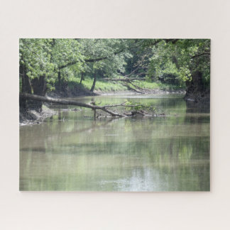 Puzzle Arbre tombé dans l'eau