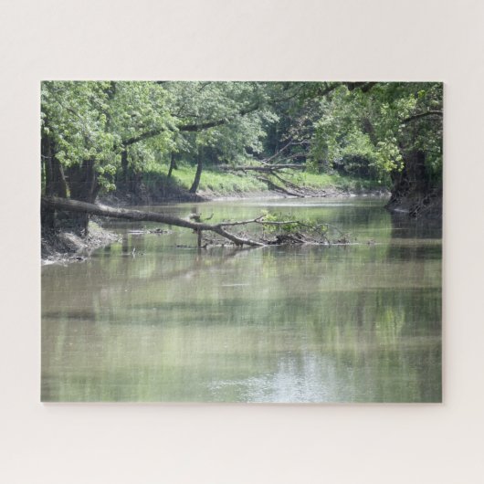 Puzzle Arbre tombé dans l'eau (Horizontal)