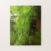 Puzzle Arbres à érable dans la forêt de séquoias (Vertical)