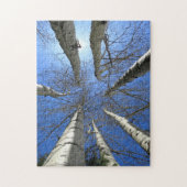 Puzzle Arbres Bouleau Nature Forêt. (Vertical)