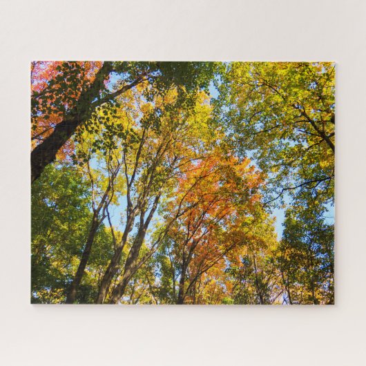 Puzzle Arbres colorés (Horizontal)