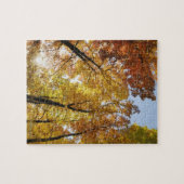 Puzzle Arbres colorés (Horizontal)