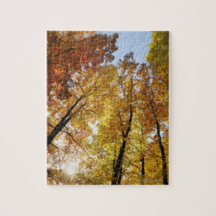 Puzzle Arbres colorés