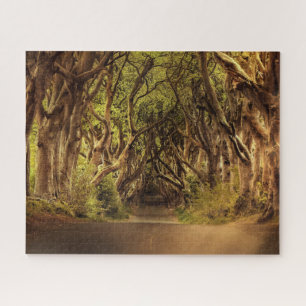 Puzzle Arbres couvrant la route en Irlande du Nord