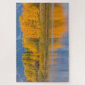 Puzzle Arbres d'Aspen couleur d'automne (Vertical)