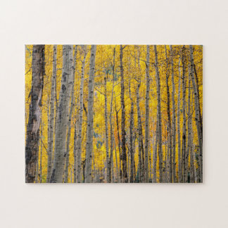 Puzzle Arbres d'automne