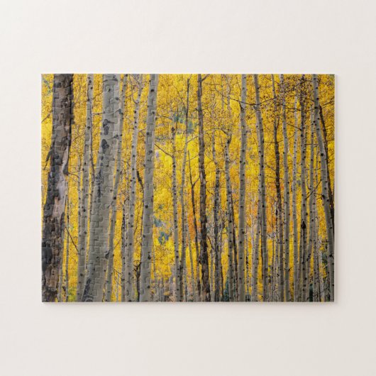 Puzzle Arbres d'automne (Horizontal)