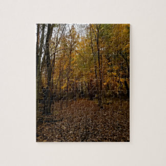 Puzzle Arbres d'automne au coucher du soleil Taylor Michi