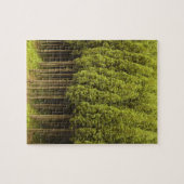 Puzzle Arbres de cèdre de Koya Sugi (Horizontal)