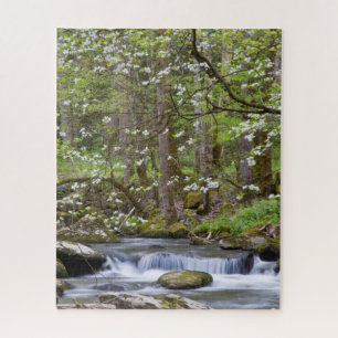 Puzzle Arbres de cornouiller Great Smoky Mountain, Tenn