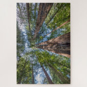 Puzzle Arbres de séquoia | Comté de Marin, Californie (Vertical)