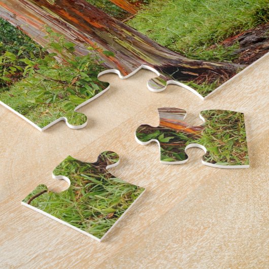 Puzzle Arbres d'eucalyptus d'arc-en-ciel, Maui, Hawaï, (Côté)