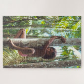 Puzzle Arbres Escalades. (Horizontal)
